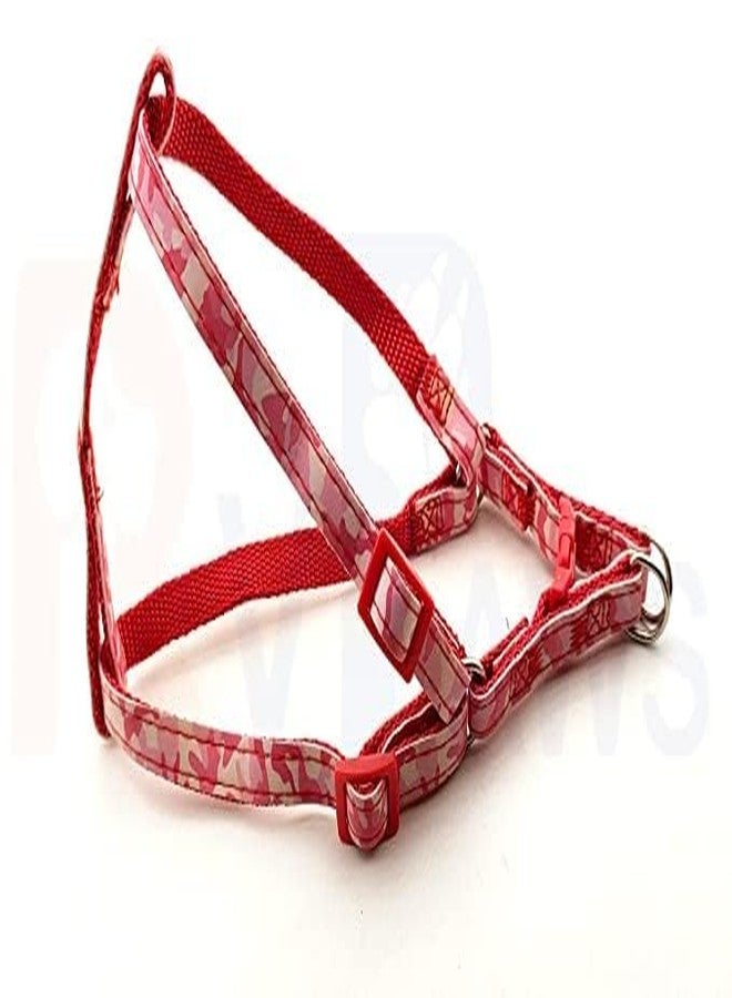 Pups&Pets سترة مبطنة من النايلون 10 مم قابلة للتعديل مع حزام مطبوع بنمط شريطي ومقود طويل، مثالية للمشي في الهواء الطلق/تدريب الكلاب والجراء (أحمر) - Image 1